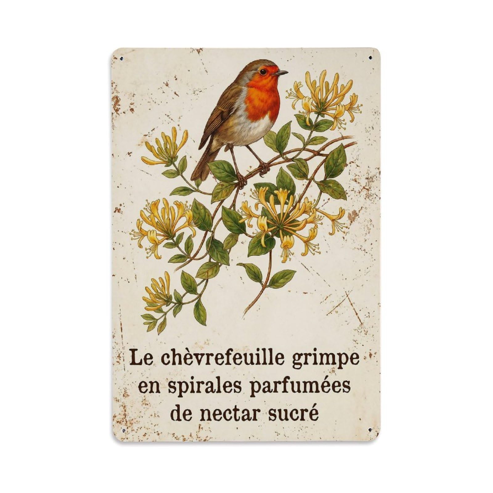 Robin Bird Garden Quote Honeysuckle Sweet Metal Tin Sign