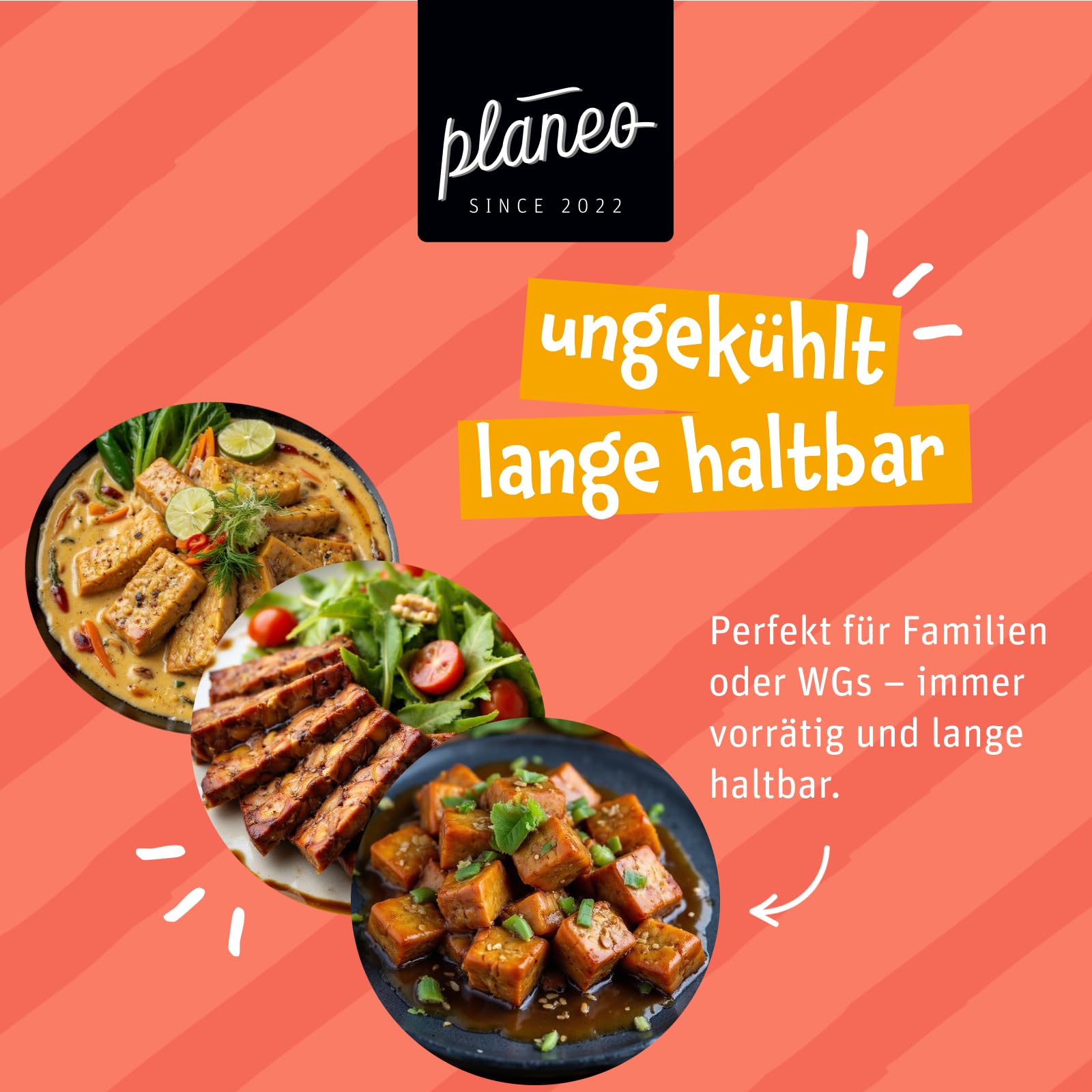 Planeo Tempeh MIX - 2x200g Natur, 2x200g Geräuchert, 2x200g Mariniert - Beste Qualität - Lange, ungekühlt haltbar - Soja aus der EU - Planeo (6 x 200g)