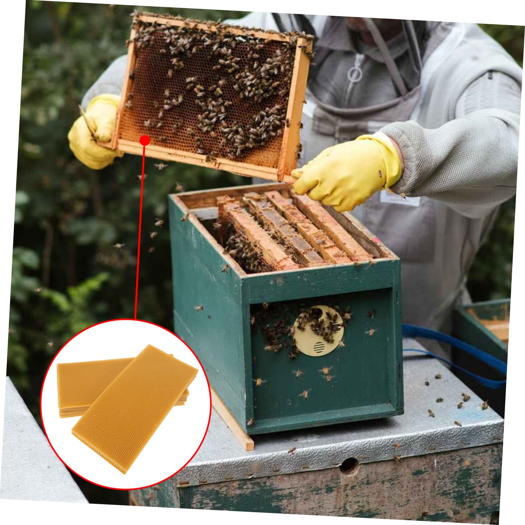 30stücke Bienenwachs Wabenblätter Natürliche Bienenwachs-mittelwände Für Bienenzucht Robuste Und Langlebige Basis Für Bienenstöcke Optimal Für Honigernte Und