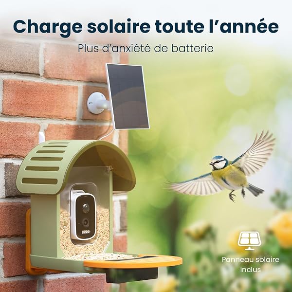 Bird Feeder Camera, 2.5K UHD Camera, Solar, Sensitive AI Identification, Instant Alerts, Video Recording, Waterproof IP66 Bird Feeder, Green - 4