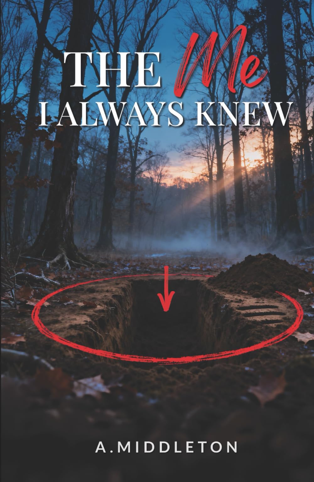 The Me I Always Knew (The Me I Never Knew Series)