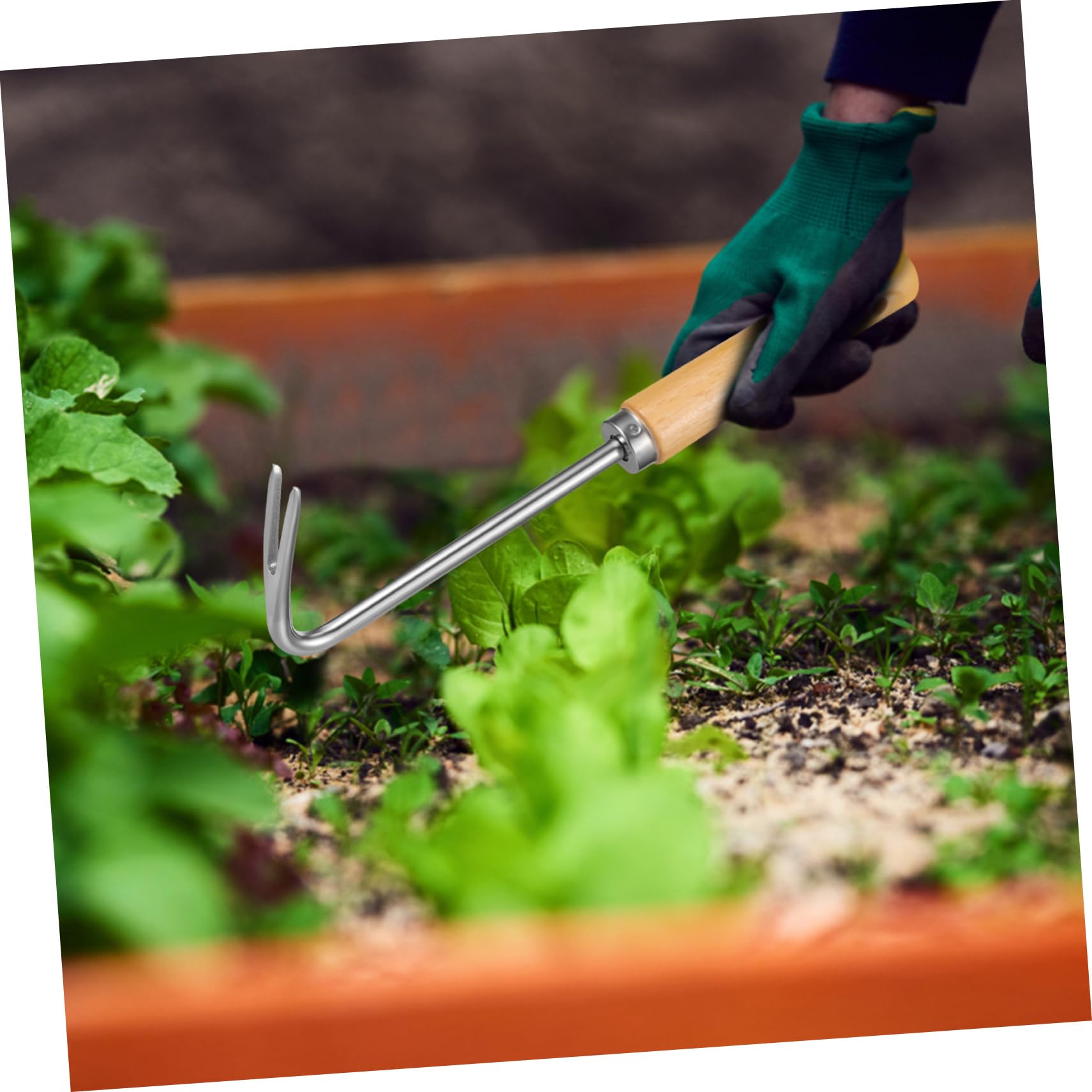 4 Stück Jätwerkzeuge Pflanzen entfernen entwurzeln Anlage Entfernung Lockerung Handwerkzeug für Gartenarbeit L-förmiges Unkrautstromwerkzeug multifunktionales Unkrautjätgerät Eisen