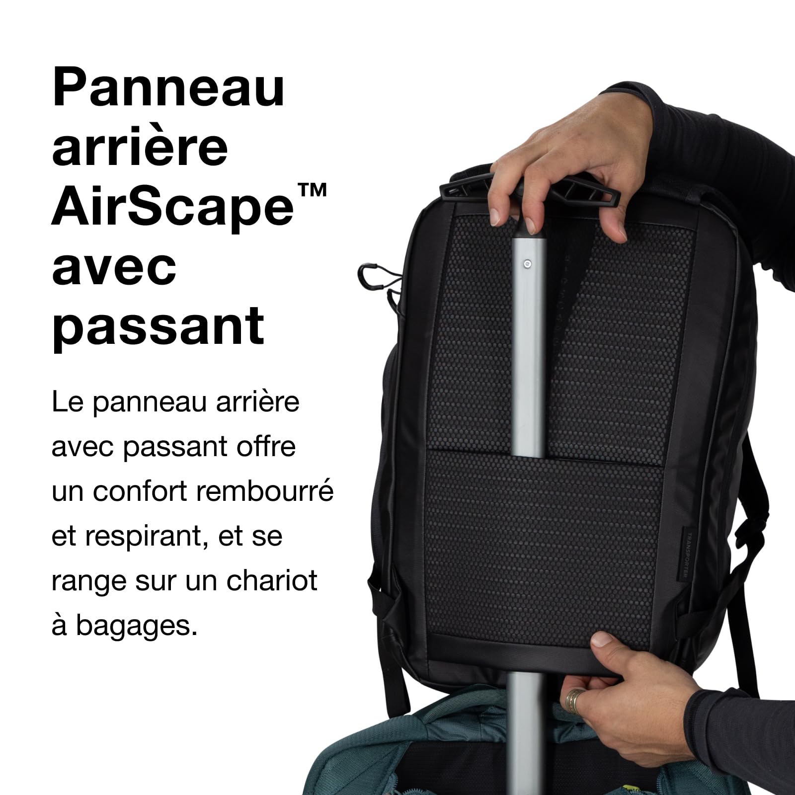 Osprey Transporter Sac à dos à ouverture frontale, 20L, Pine Leaf