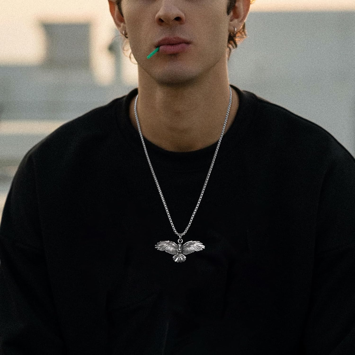 HZMAN Stainless Steel Hawk Eagle Necklace for Men Women Patriotic American Flag Bald Eagle Shield Pendant Jewelry - Image 2