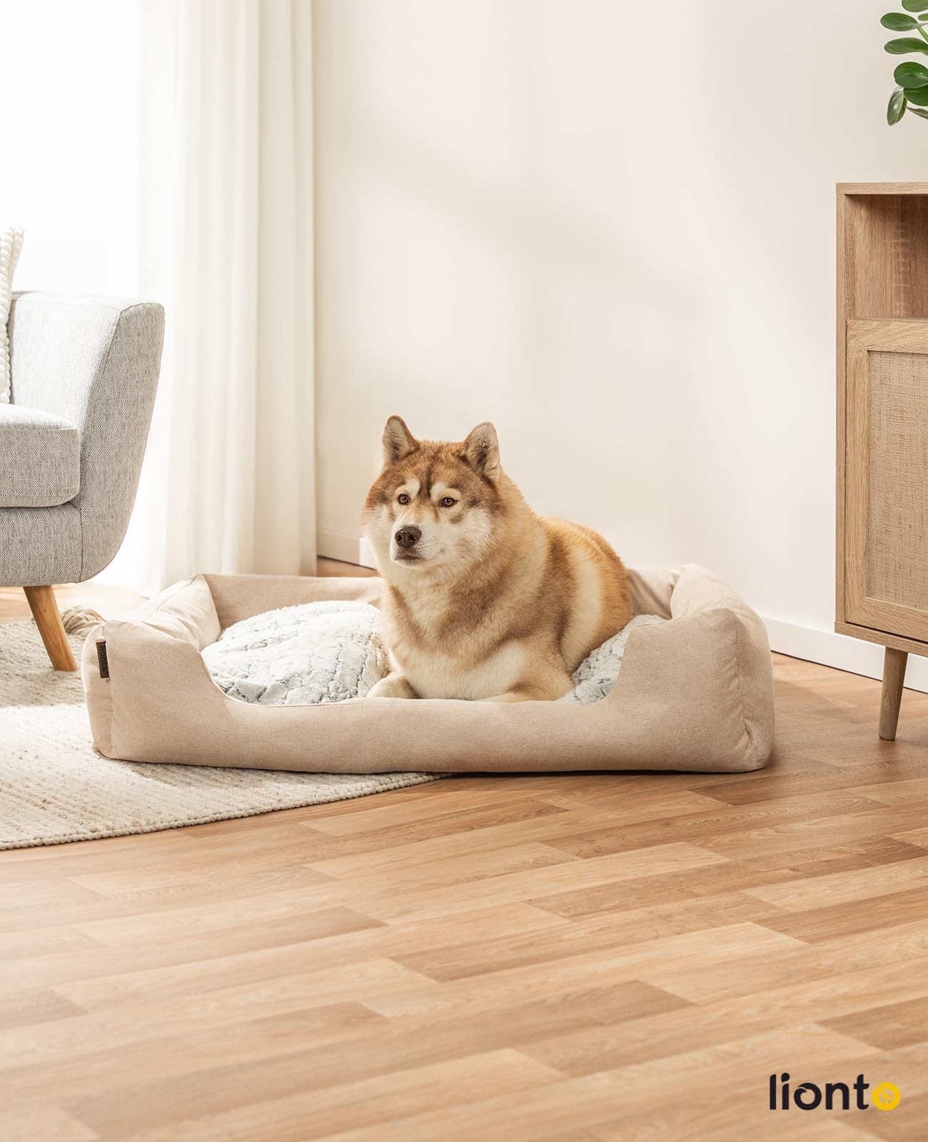 lionto Hundekörbchen mit Flauschigem Wendekissen, 110 x 80 cm, Beige | Robustes Haustierbett in meliertem Design mit tiefem Einstieg für Hunde & Katzen aller Größen, pflegeleichtes Material