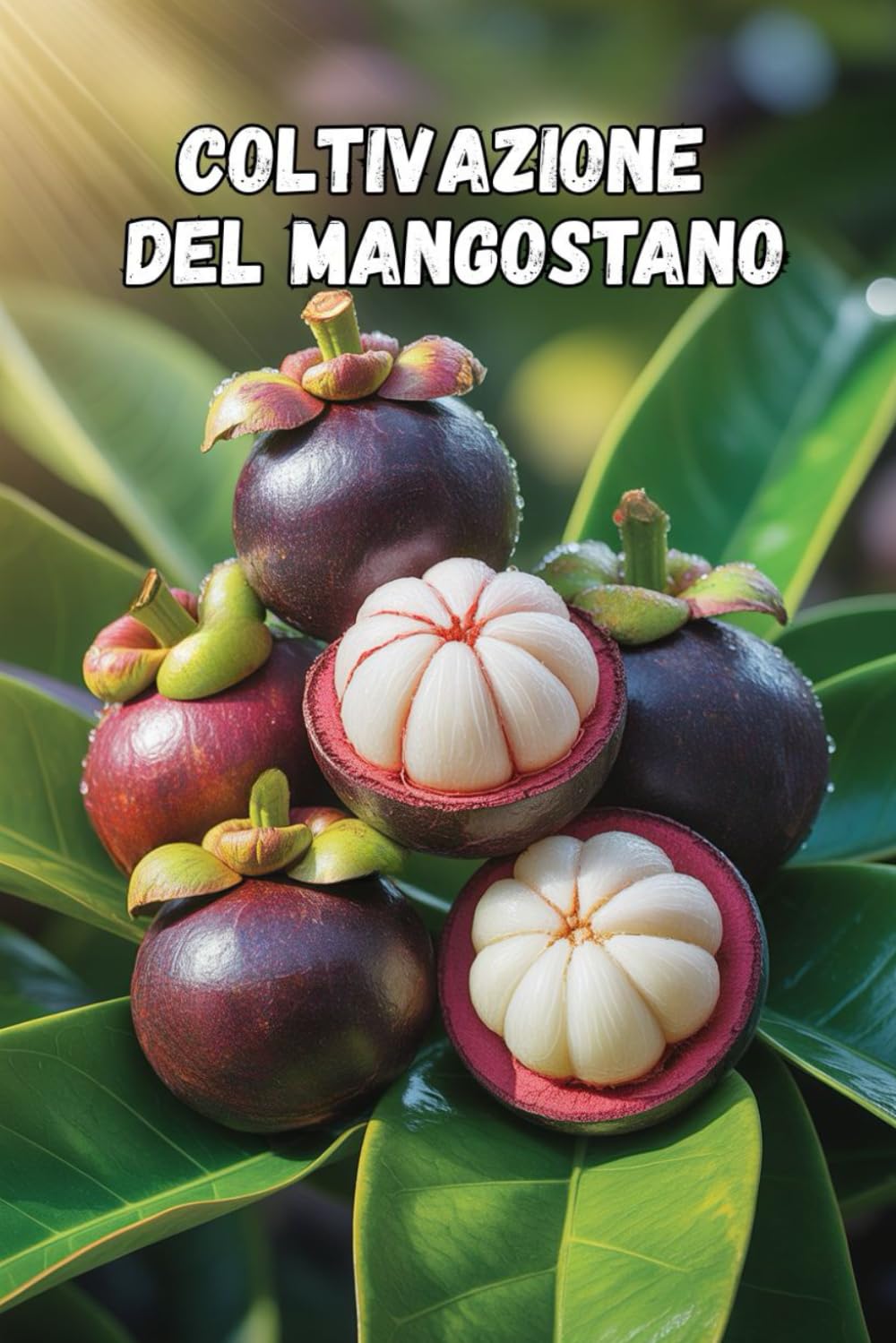 Coltivazione del mangostano: I segreti per una crescita di successo del mangostano e per ottenere il massimo rendimento