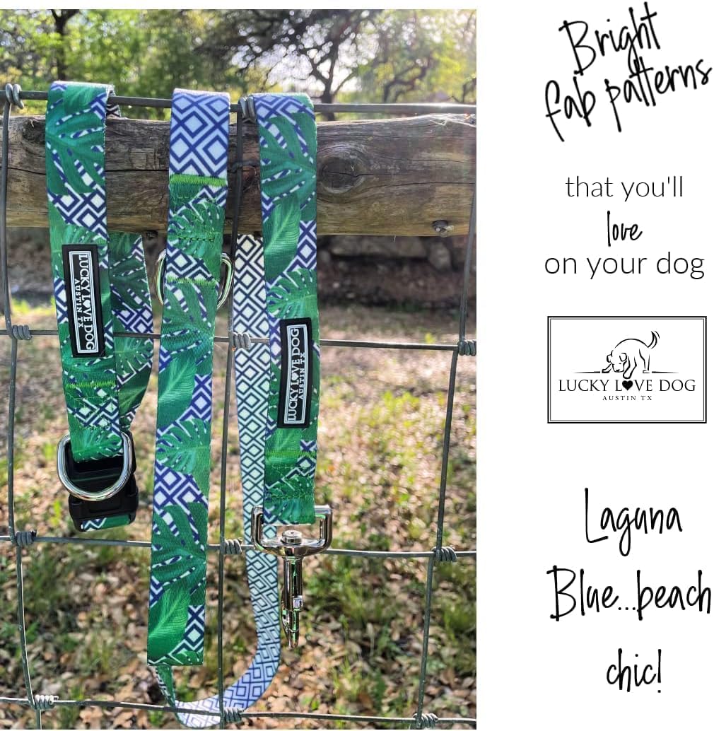 Lucky Love Dog Martingale Collar and Leash Set, Premium No Slip Martingale Collar for Medium Boy Dogs, Great for Whippets, Greyhounds, and More (Medium, Blue Laguna - Combo)