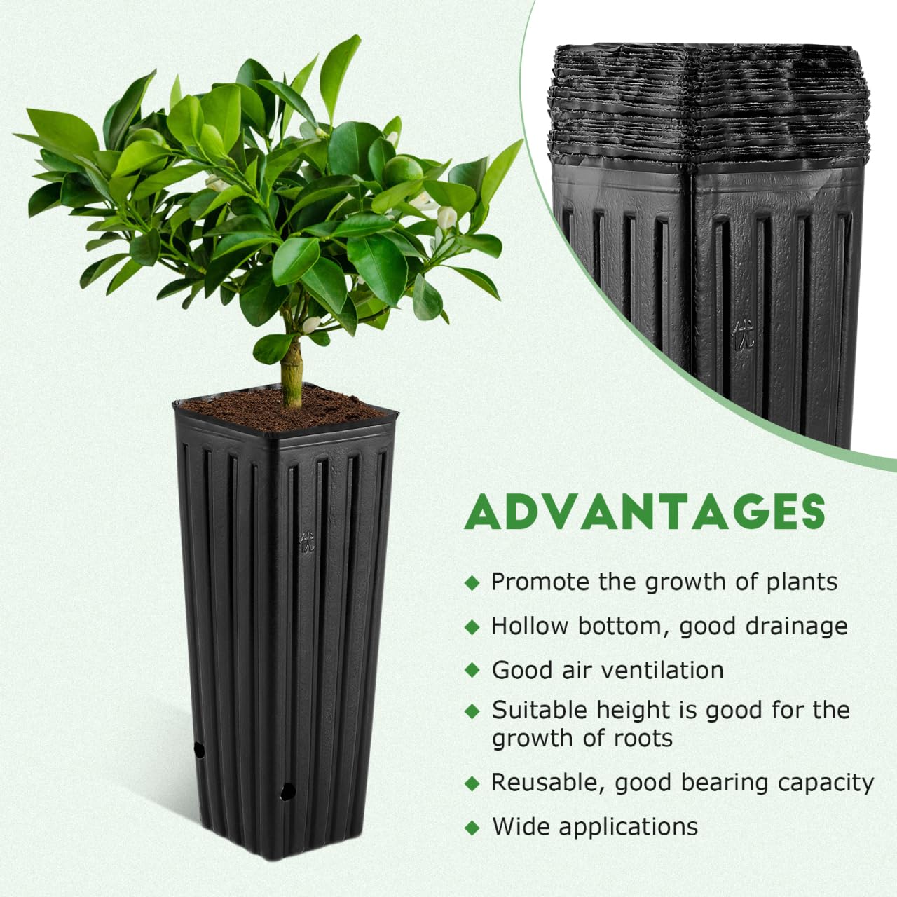 BESPORTBLE Lot de 50 Pots de Fleurs en Plastique Profonds, de 30,5 cm, Noirs, avec Trous de Drainage, pour Le Jardinage, 3 x 11 cm (l x H)
