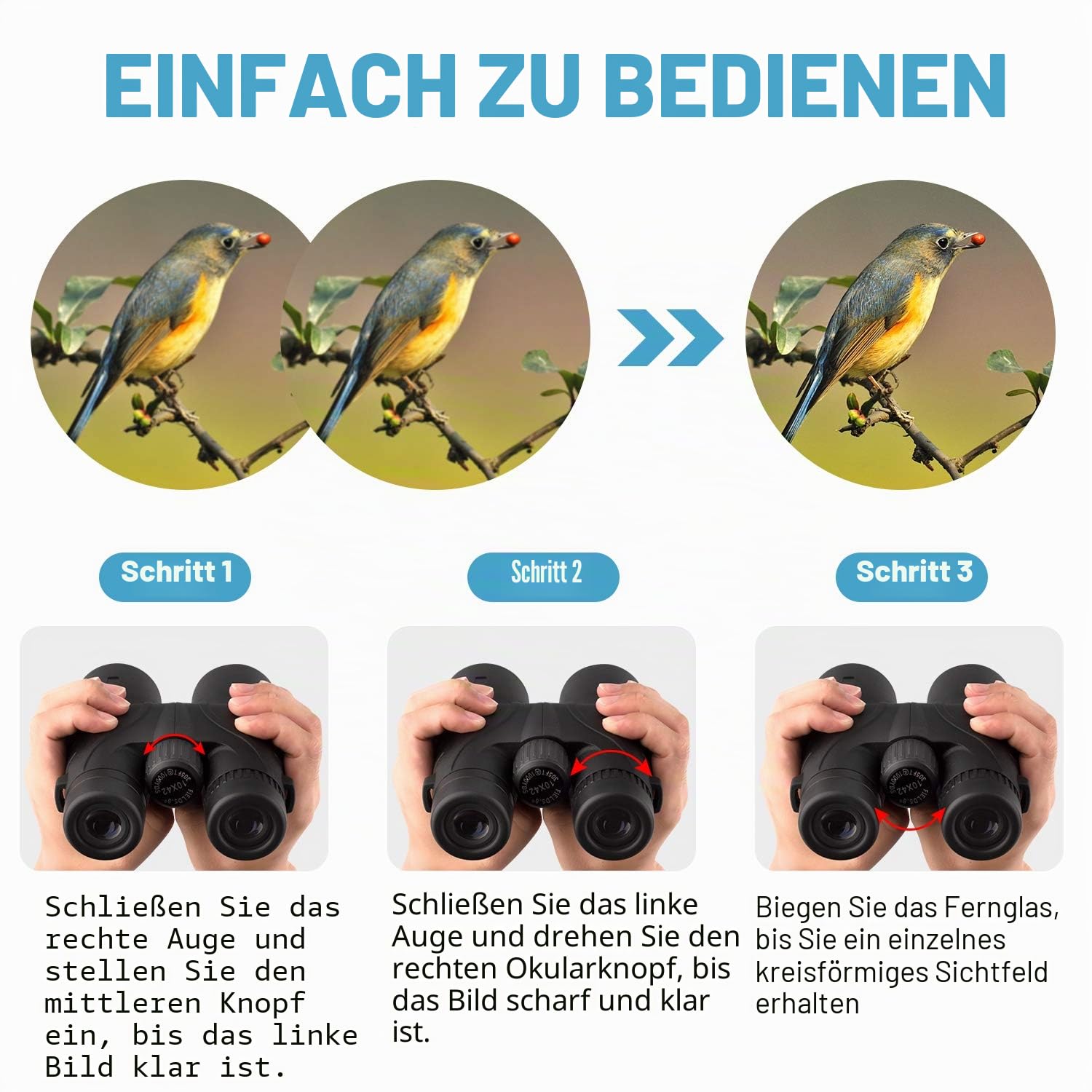 10x42 Fernglas für Erwachsene - Professionelles HD Dach BAK4 Prismenlinse Fernglas für Vogelbeobachtung, Jagd, Reisen, Sport, Kreuzfahrt, Konzert, mit Tragetasche