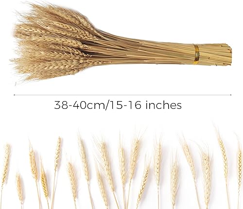 Miniatura 2 de Paquete de 200 tallos de trigo seco natural para decoración del hogar, manualidades