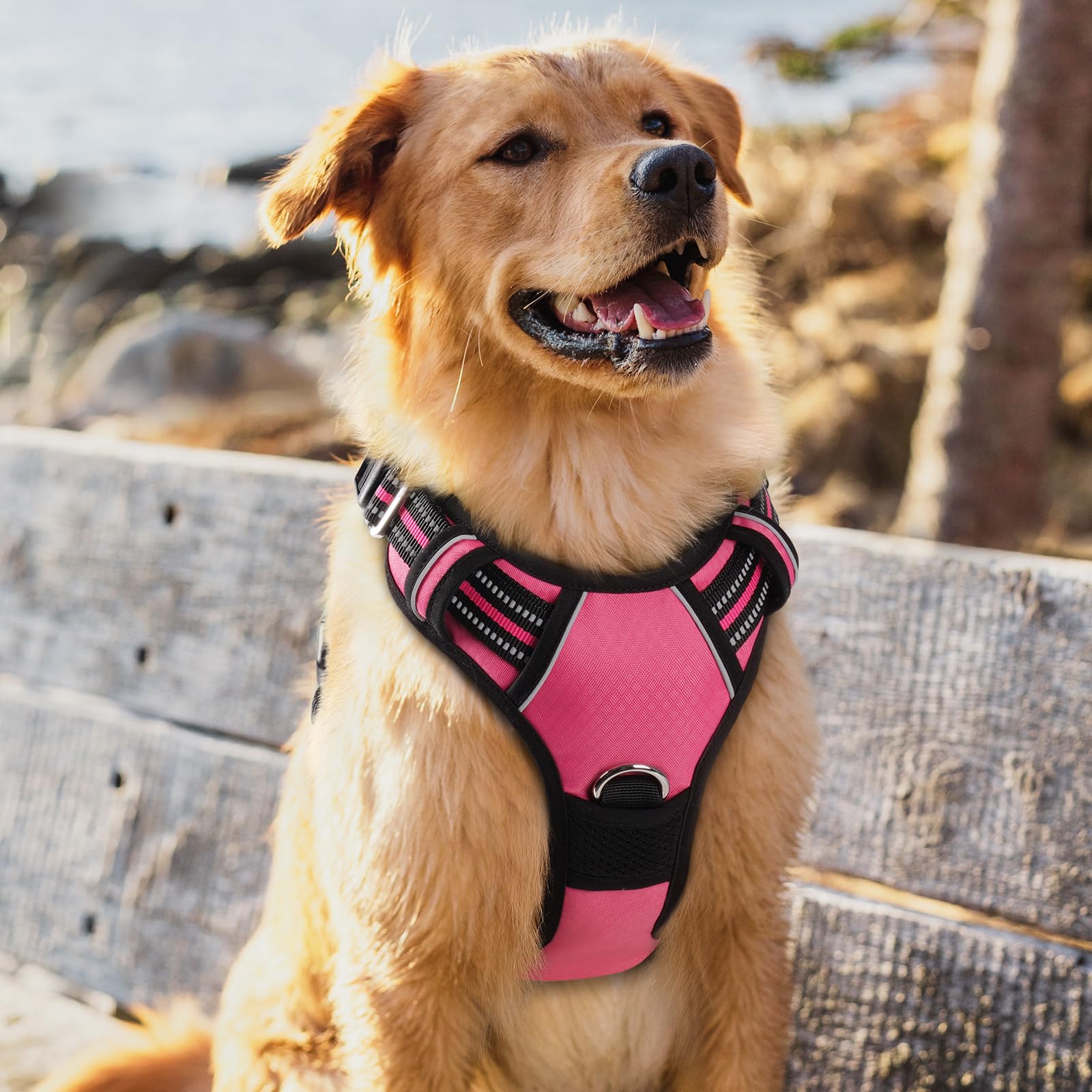 rabbitgoo Harnais anti-traction pour chien réglable avec 3 boucles, harnais rembourré doux pour animal domestique avec poignée de contrôle facile et bandes réfléchissantes, rose, taille XL