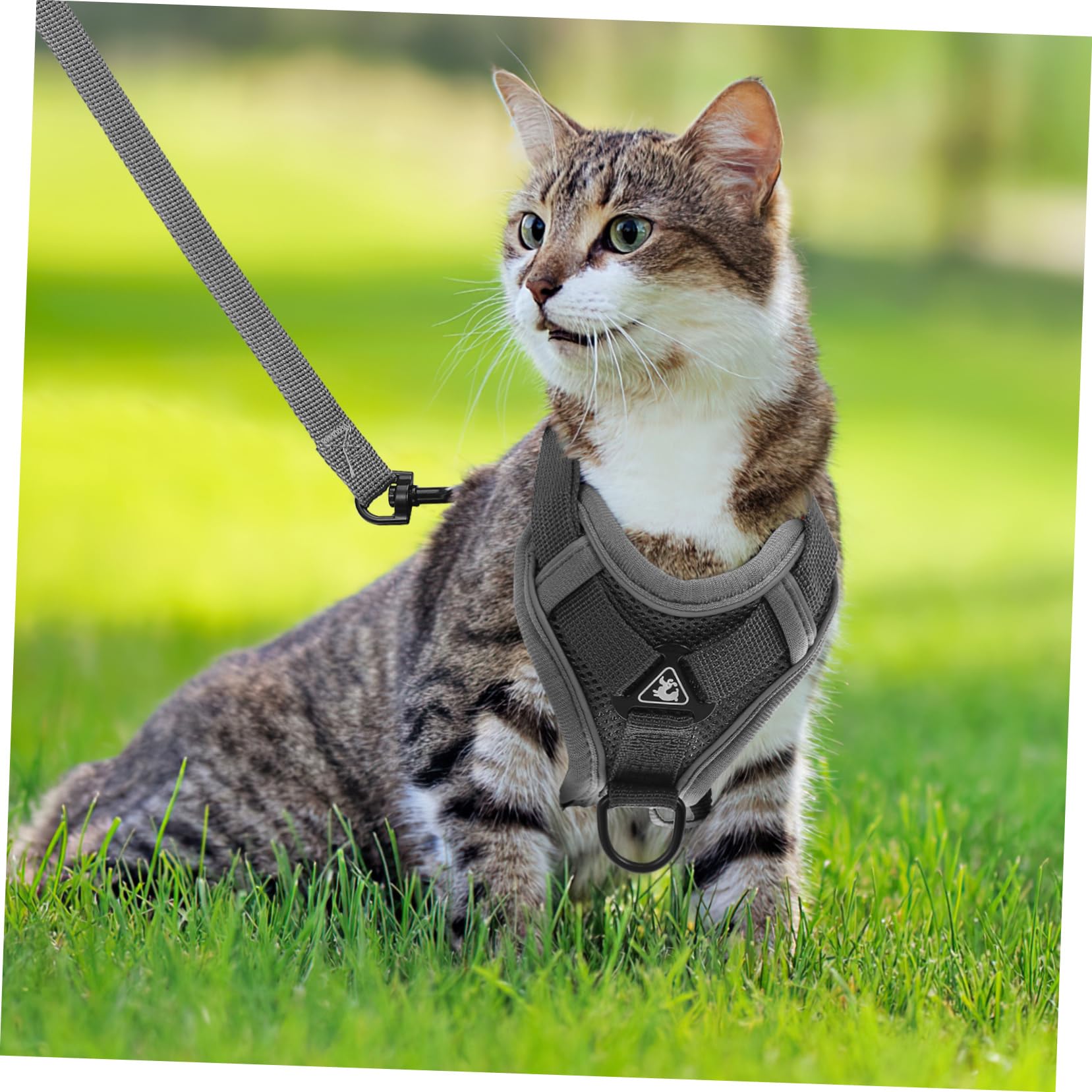 INOOMP 5piezas Arnés De Pecho Reflectante y Transpirable para Perros y Gatos Arnés Correa para Paseos Al Aire