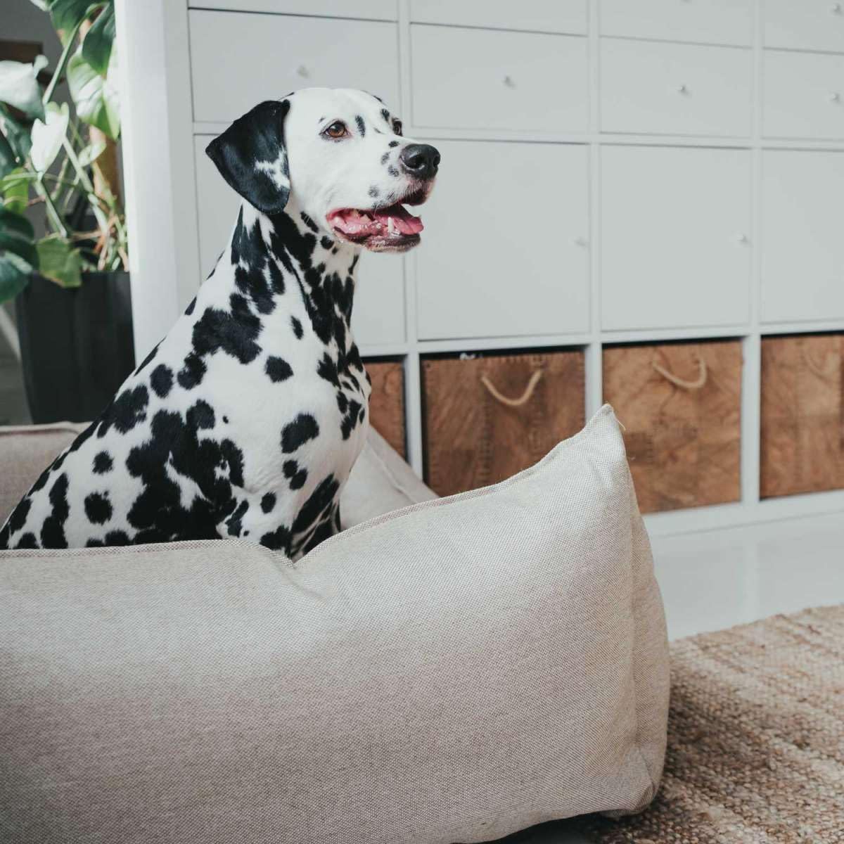 HUNTER Living 60857 Panier pour Chien Beige 80 x 59 x 24 cm