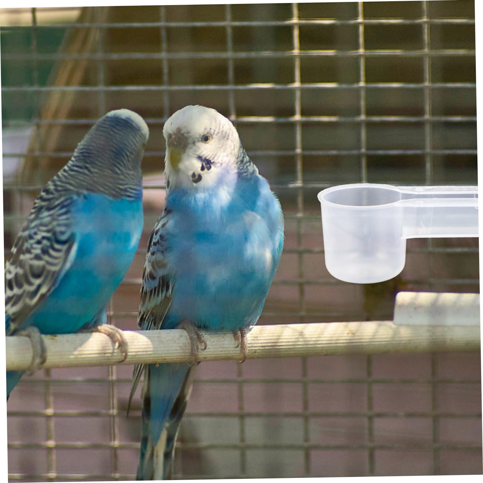 ERINGOGO 10Pezzi Bevitore per Uccelli da Distributore Acqua per Piccioni e Pappagalli Facile per Negozi Animali Case