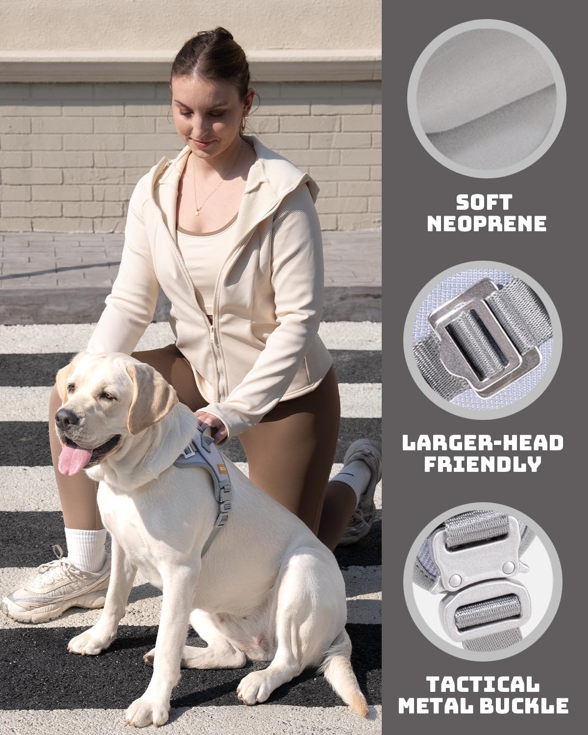 DF Pettorina Martingala per cani senza tirare, aiuta ogni passo senza soffocamento, vestibilità riflettente e regolabile, imbracatura con clip frontale con maniglia di controllo e fibbia tattica in