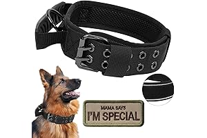 Enhance Dog Control with Sturdy Tactical Dog Collar