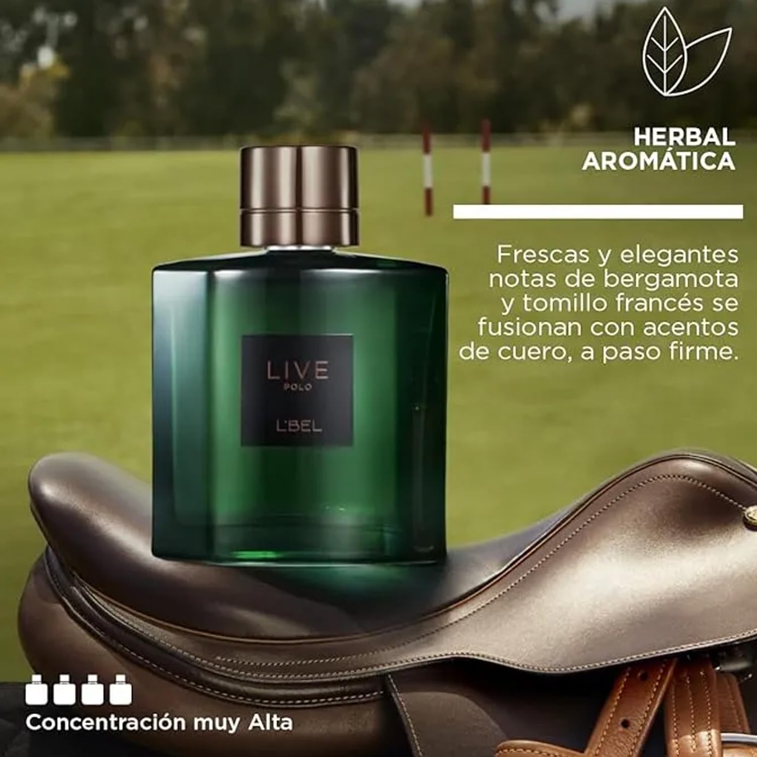 L'Bel Live Polo Long-Lasting Men's Perfume, 100 ml
