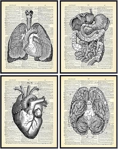 Corazón, pulmones, cerebro, órganos de anatomía intestinal Diccionario reciclado, impresiones artísticas de pared para clínica médica, oficina,