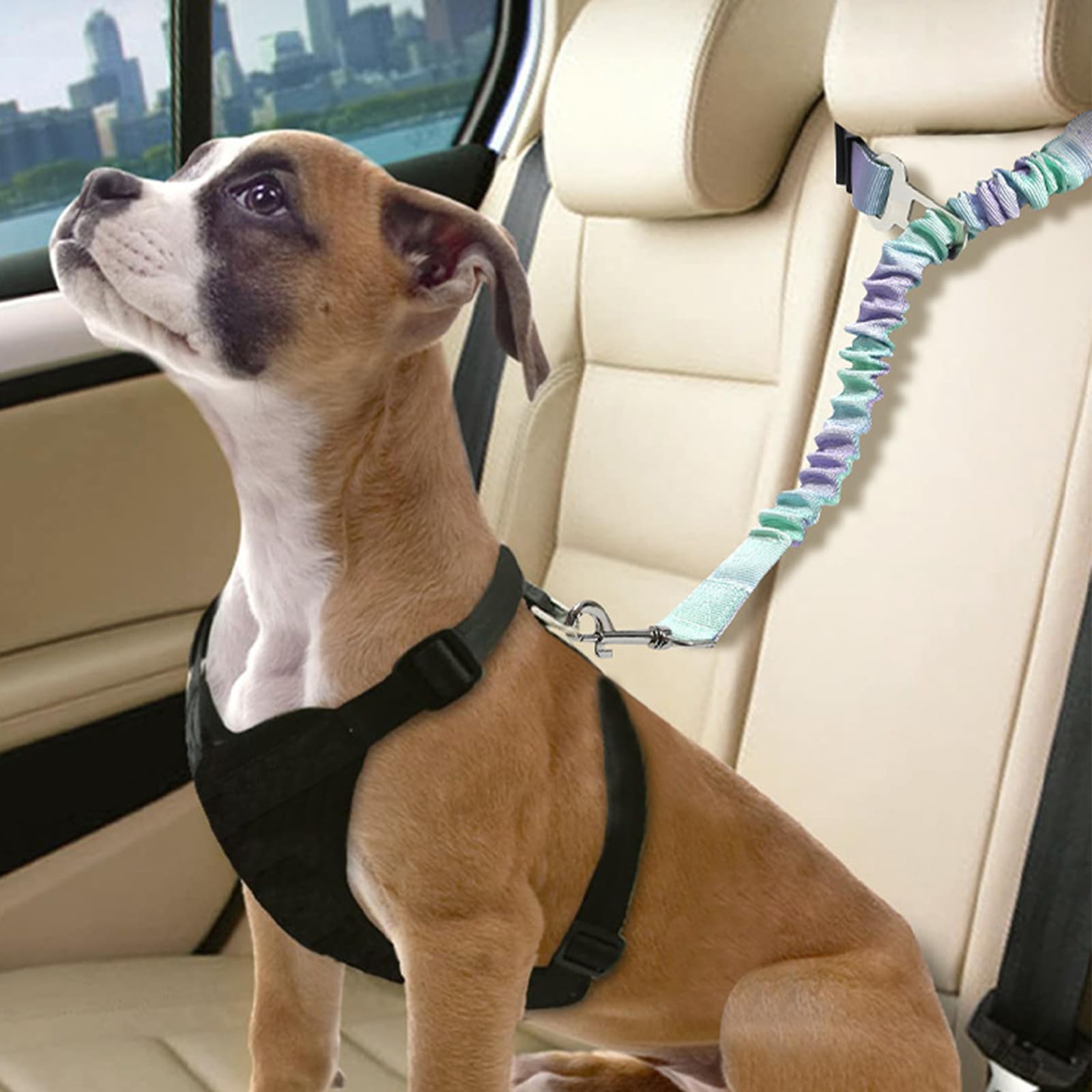 2 Pièces Ceinture Chien Voiture, Réglable Ceinture Securite Chien Voiture, Élastique Attache Chiens Voitures, Couleur Dégradée Laisse Voitures pour Chiens