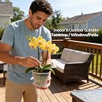 T4U Orchid Pots, 5.5 Inch 6 Pack Nursery Pots with Holes and Saucers, Slotted Plastic Planter for Repotting, Indoor Outdoor Decor for Mature Phalaenopsis and Cattleya | Phalaenopsis dendrobium, Slotted ventilation drainage, Root growth visible, Trans