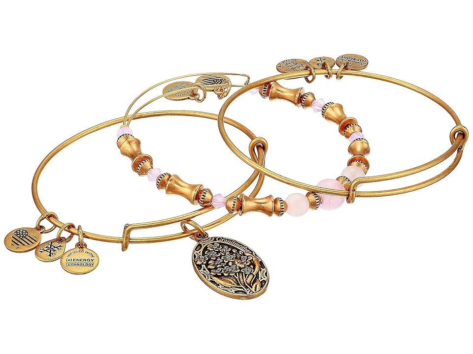 

Alex and Ani Grandmother Bracelet, Set Of 3 (Rafaelian Gold) Bracelet