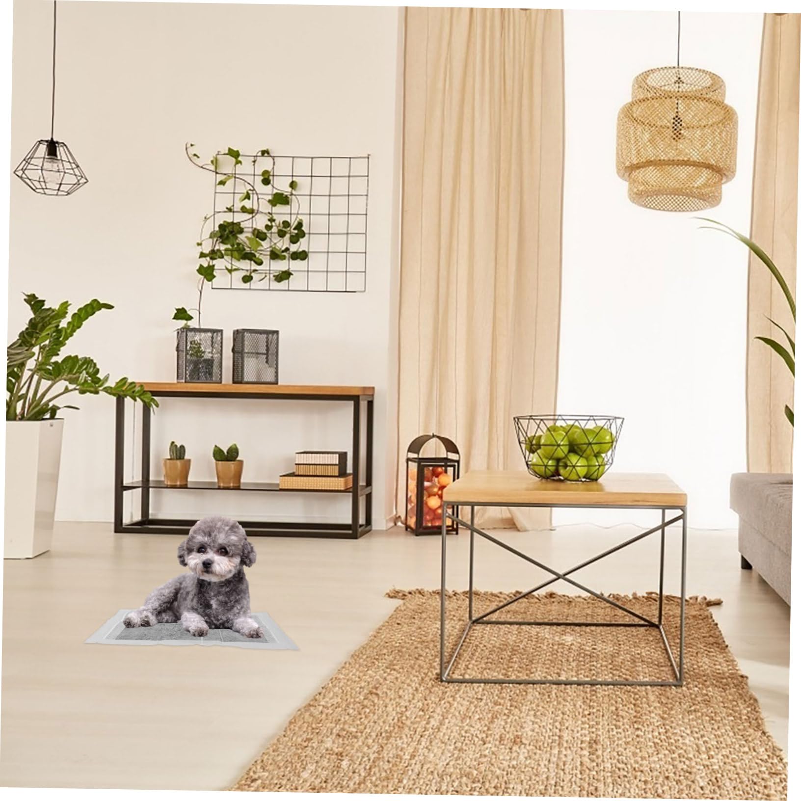 YARNOW Almohadilla para Orinar para Perros y Gatos 100 Unidades Desechables Alta Capacidad De Absorción