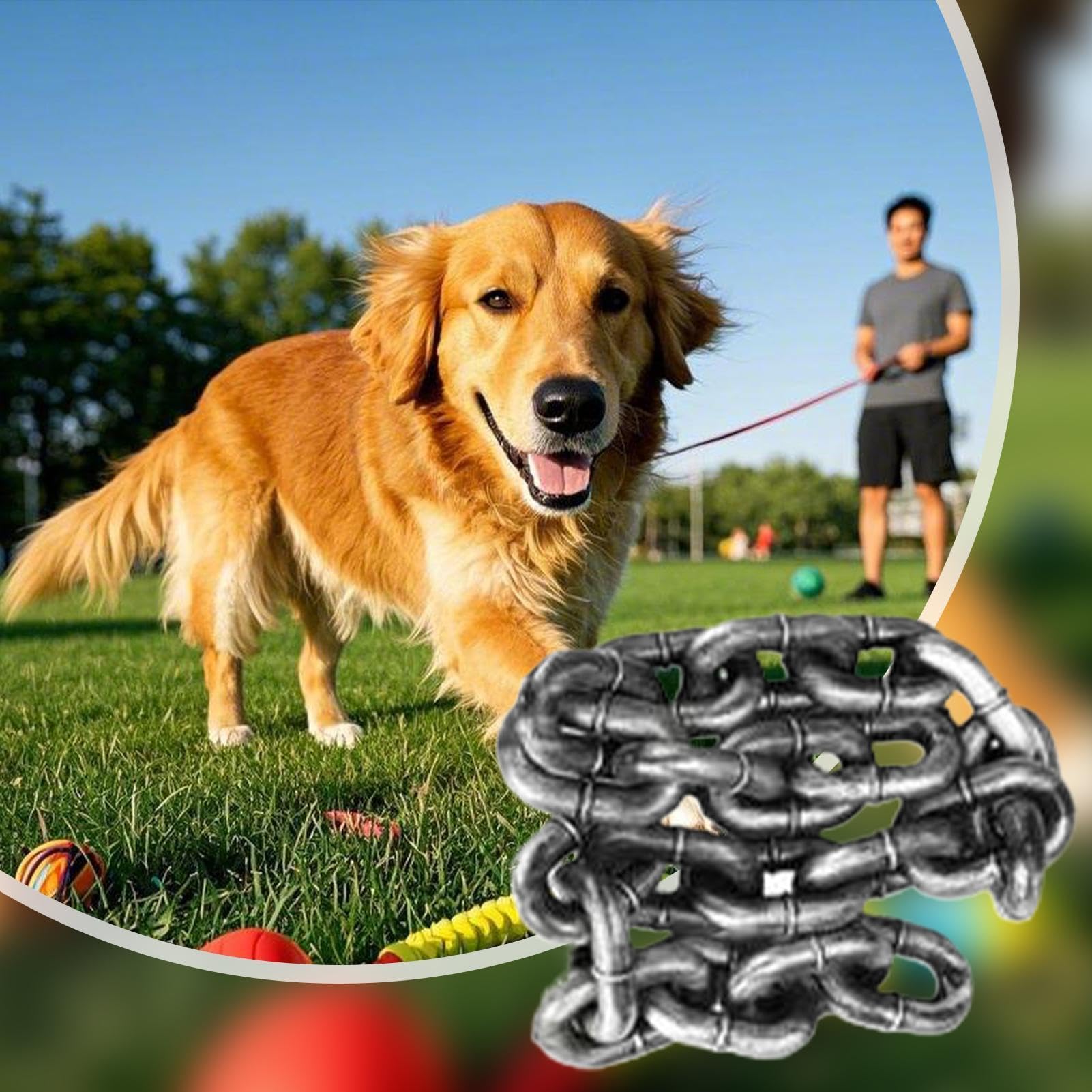 Catena per cani da giardino – guinzaglio per addestramento animali