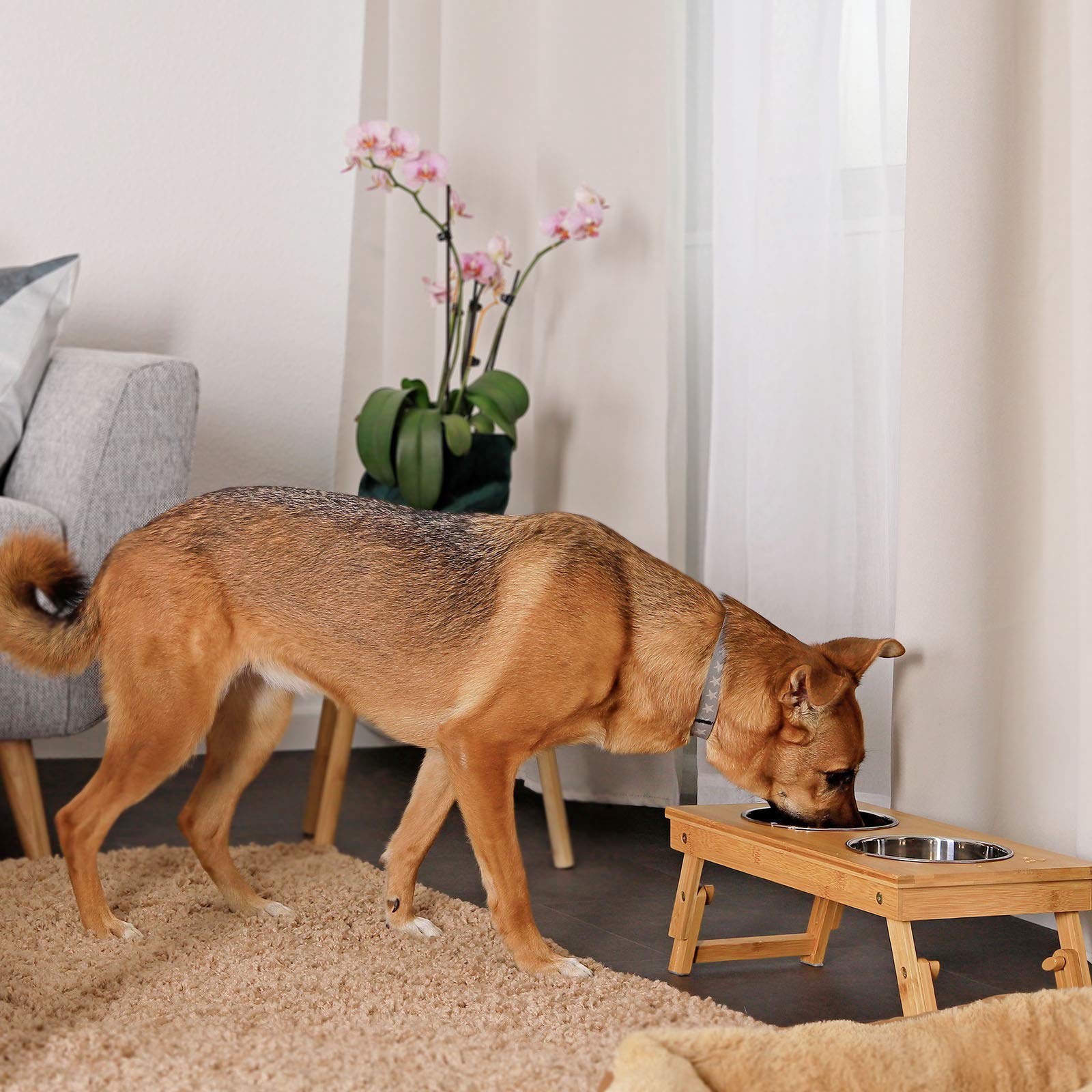lionto Height-adjustable dog bowl made of robust bamboo, 45 x 23 cm, height 14.5-18.5 cm - Image 3