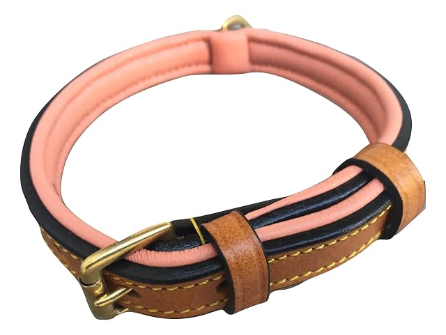 CBROSEY Collar para Perro de Piel auténtica con Acolchado Suave al Tacto
