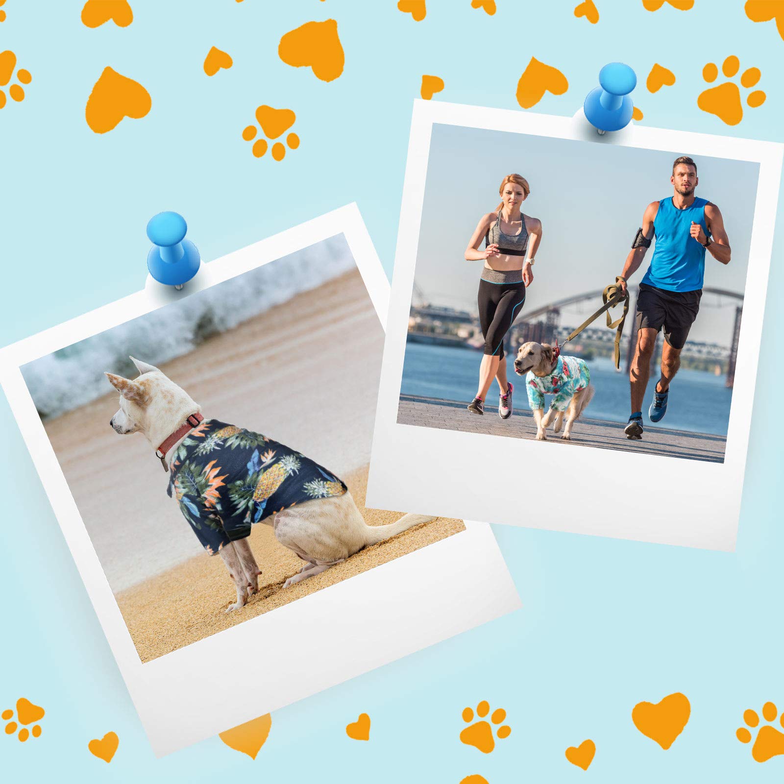 Weewooday 4 Pieces Pet Summer T-Shirts Hawaii Style Floral Dog Shirt Hawaiian Printed Pet T-Shirts Breathable Pet Cool Clothes Beach Seaside Puppy Shirt Sweatshirt for Dogs Pet Puppy (X-Small)