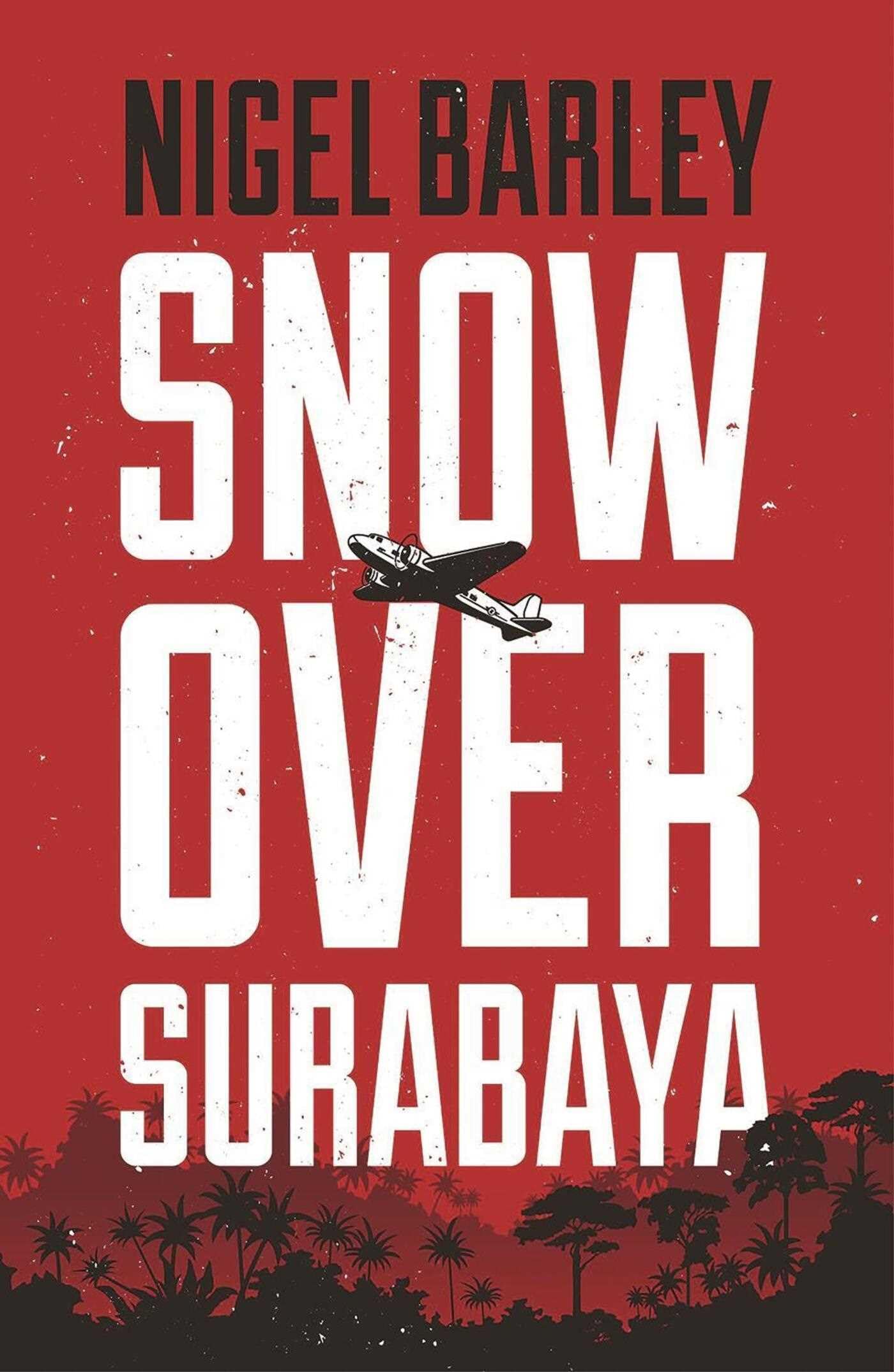 Snow Over Surabaya 2017-Nigel Barley