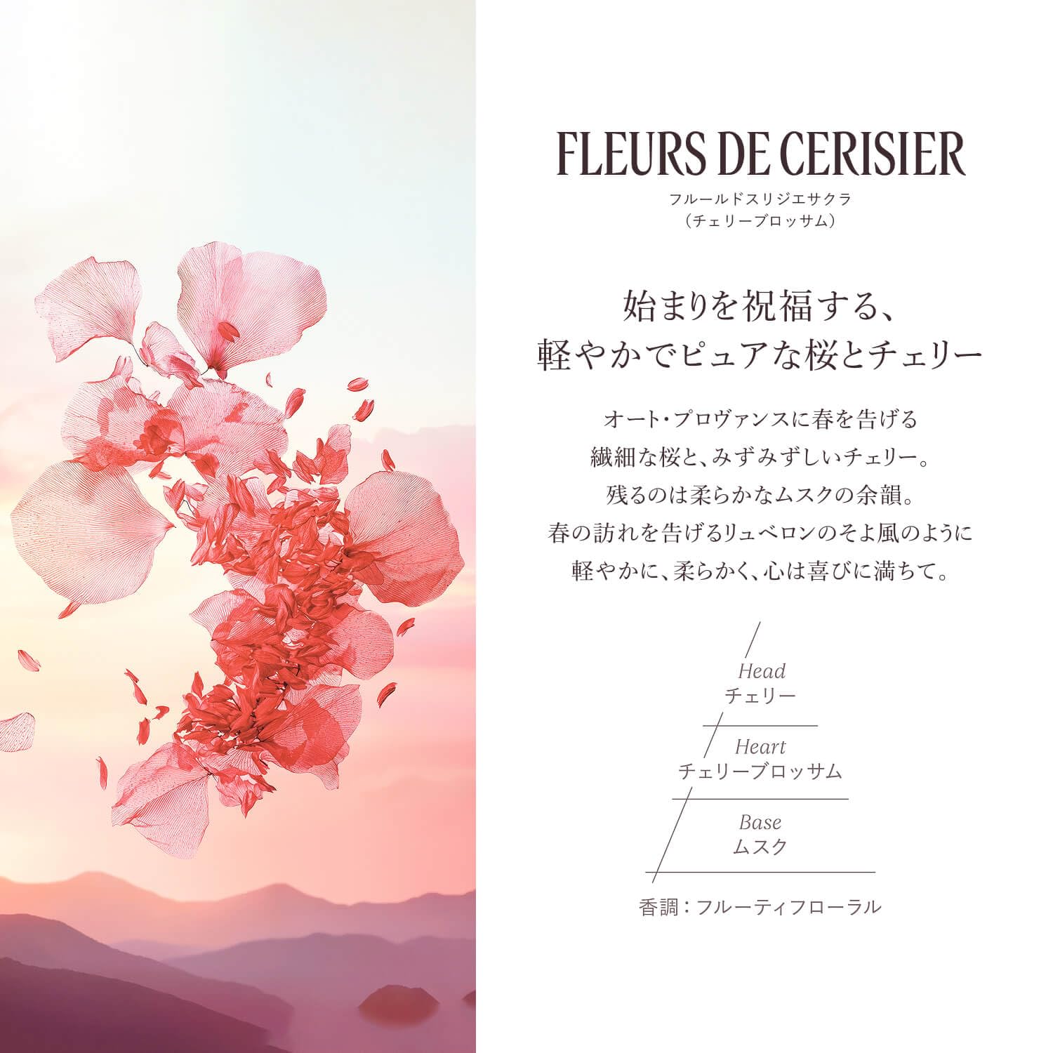 ロクシタン チェリーブロッサム ボディミルクサムネイル2