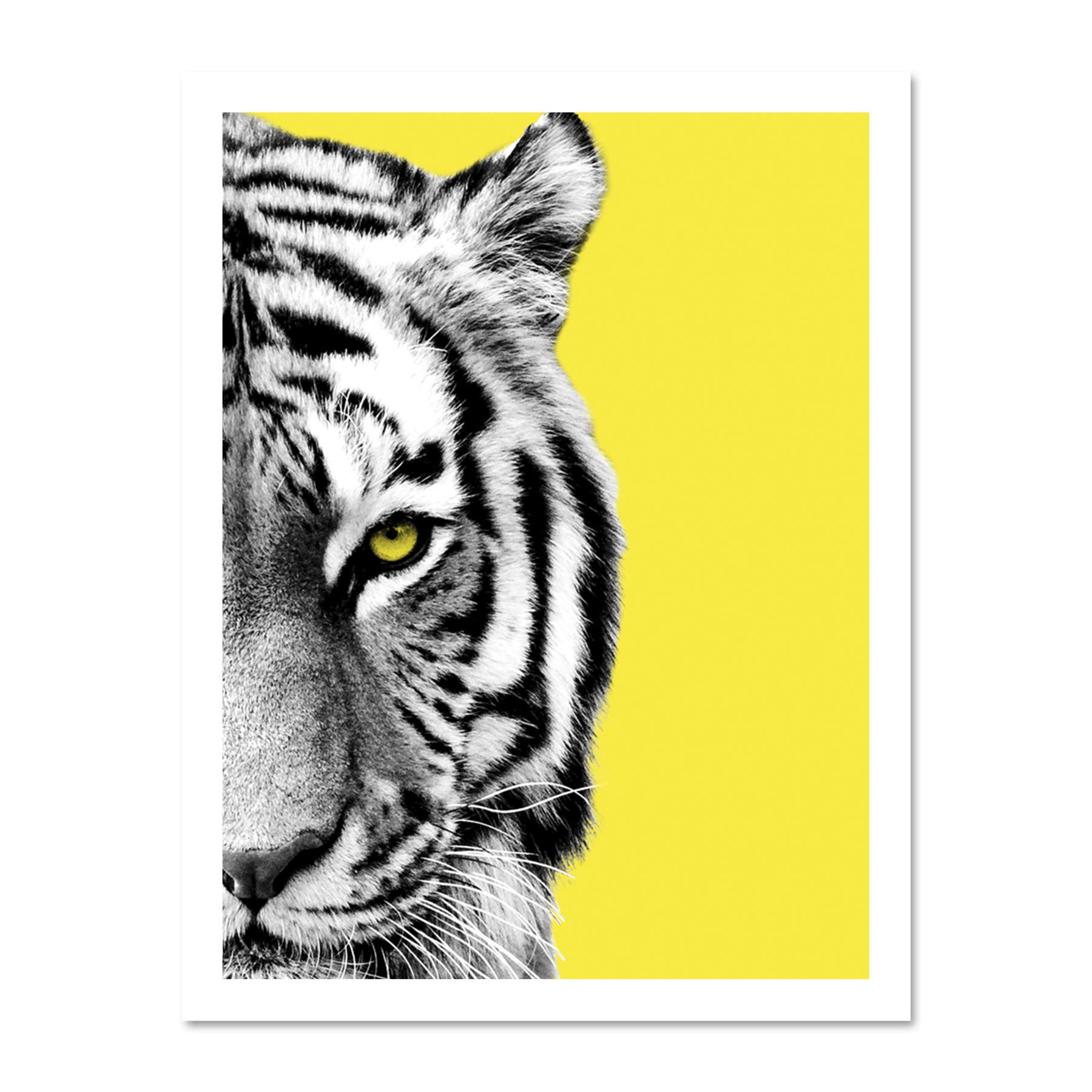 Wee Blue Coo Close up Beasties Tiger Large Framed Art Print Wall Poster 18x24 inch