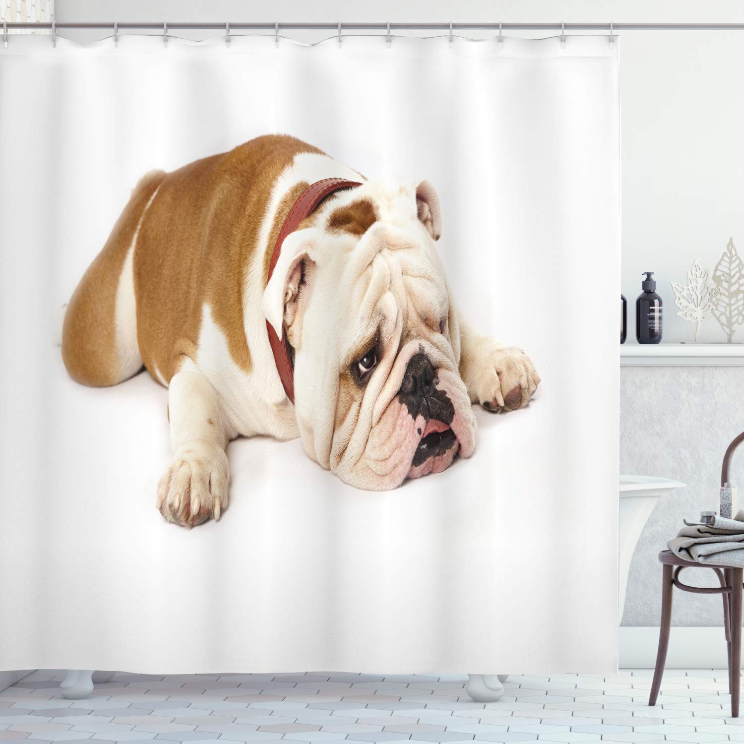 How To Bathe A English Bulldog