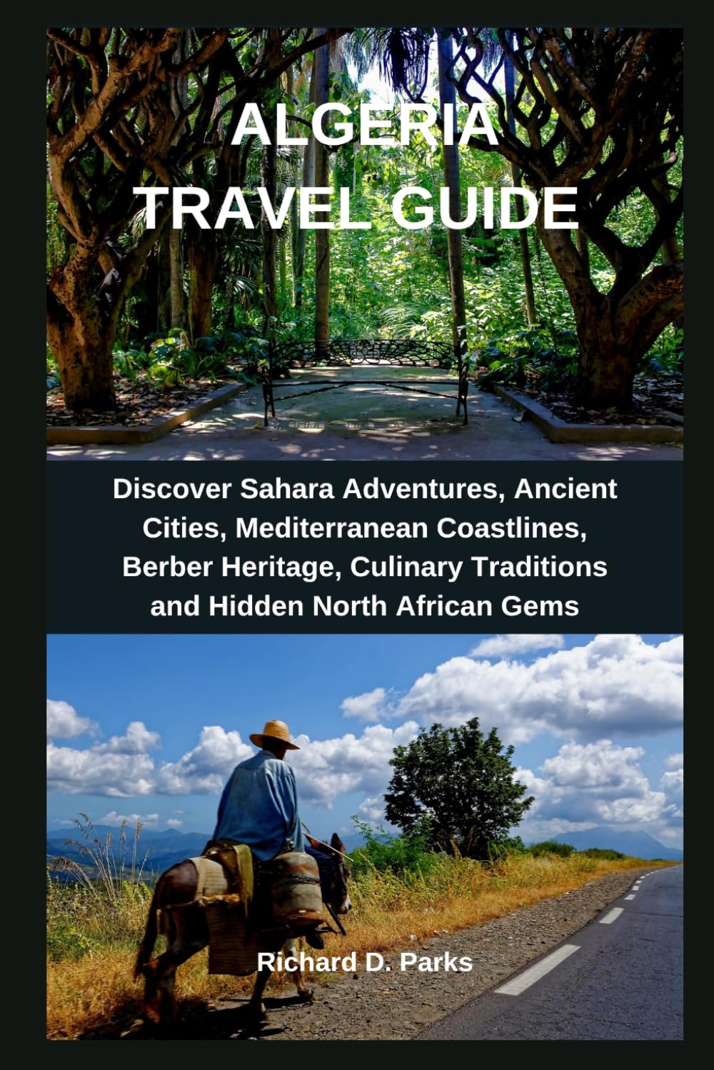 ALGERIA TRAVEL GUIDE: Discover Sahara Adventures, Ancient Cities, Mediterranean Coastlines, Berber Heritage, Culinary Traditions and Hidden North African Gems