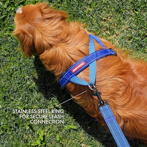 Miniatura 4 de Arnés ajustable para perro de EzyDog, S, Anaranjado