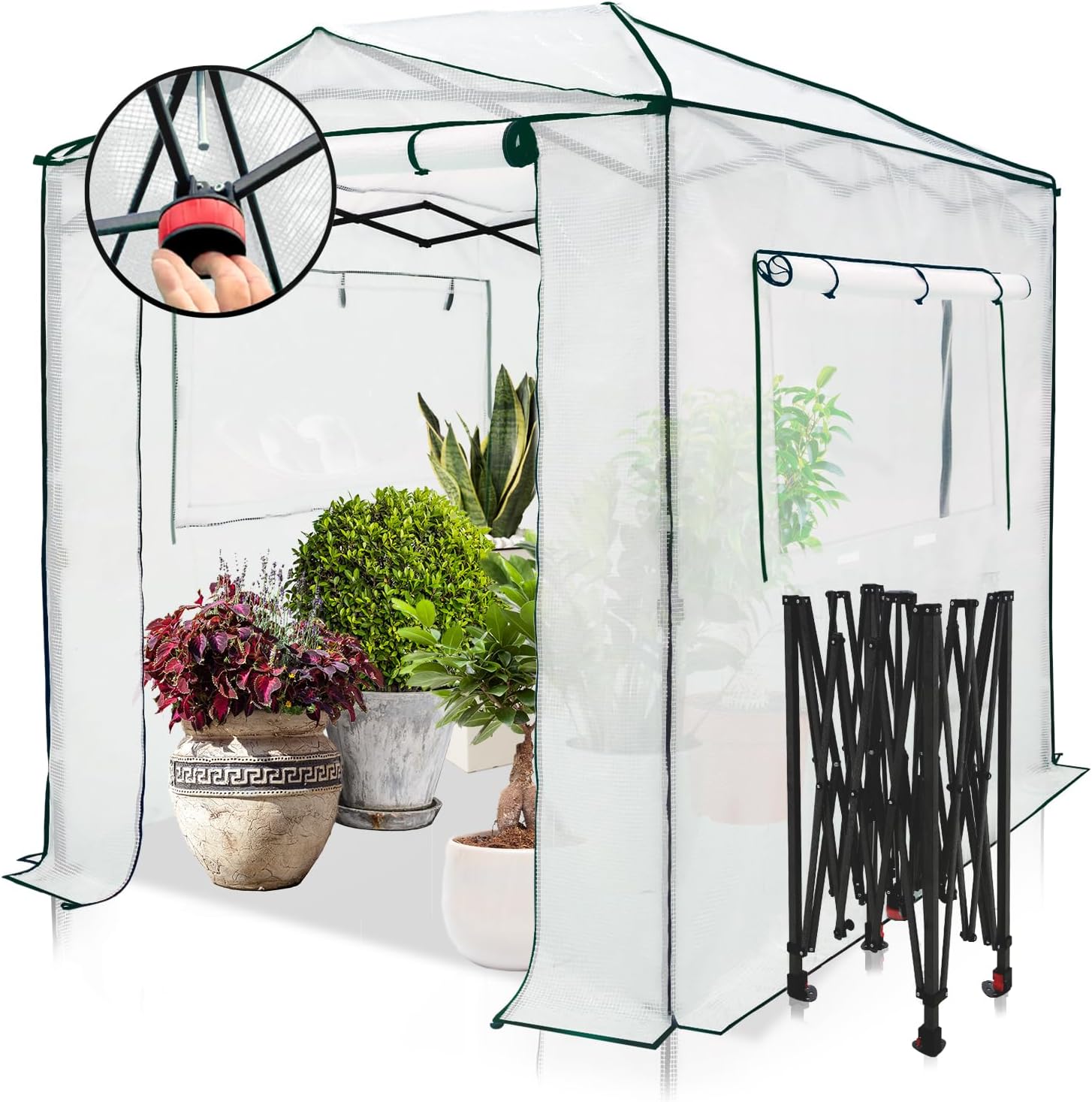 8x6 Portable Walk in Greenhouse, Pop Up Indoor Outdoor Greenhouse, Green House Kit with Zippered Roll-Up Doors and Windows, PE Cover, Clear/White