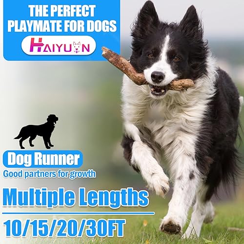 Miniatura 6 de Cable de amarre para perros, cadena resistente para perros, para patio, azulmorado, verderosa, correa y correa para exteriores, 10152030 pies,