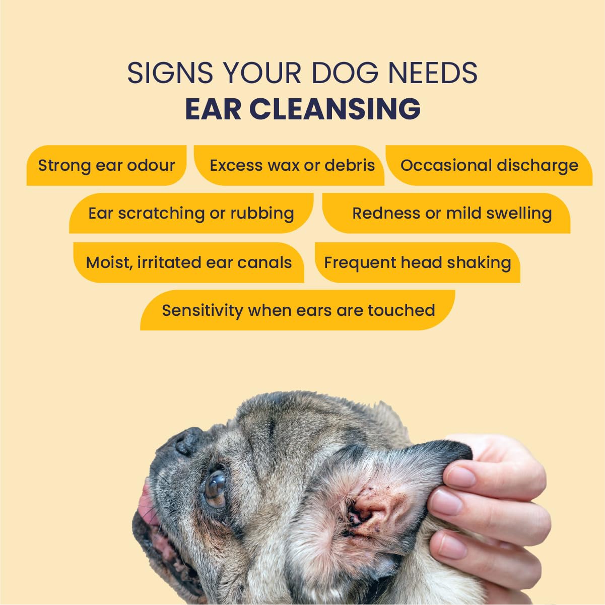 Fur Ball Story Clear Ear Solution for Dogs & Cats 100 ml | Softens & Easily Cleans Earwax | Prevents Bad Odour, Infection, Earache, Dryness | Vet Recommended, Licensed, Ayurvedic 1