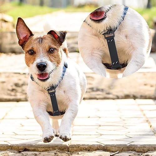 Miniatura 3 de Paquete de 2 clips de seguridad de doble extremo para collar de púas impermeables para collar de púas y arnés de perro