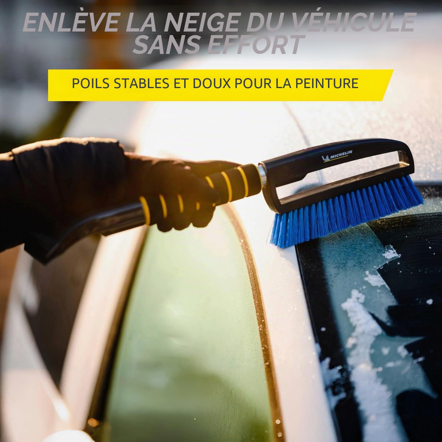 Michelin Grattoir à Glace avec Fouet