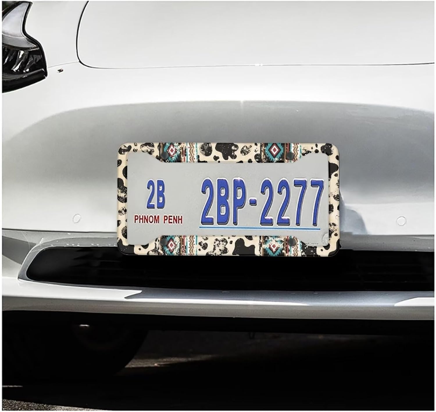 Wanyint Aztec Cow Print Retro Car License Plate Frame for Women Men, Novelty Vanity Tag for Car SUV Truck Vans Decorative Accessories with Screws