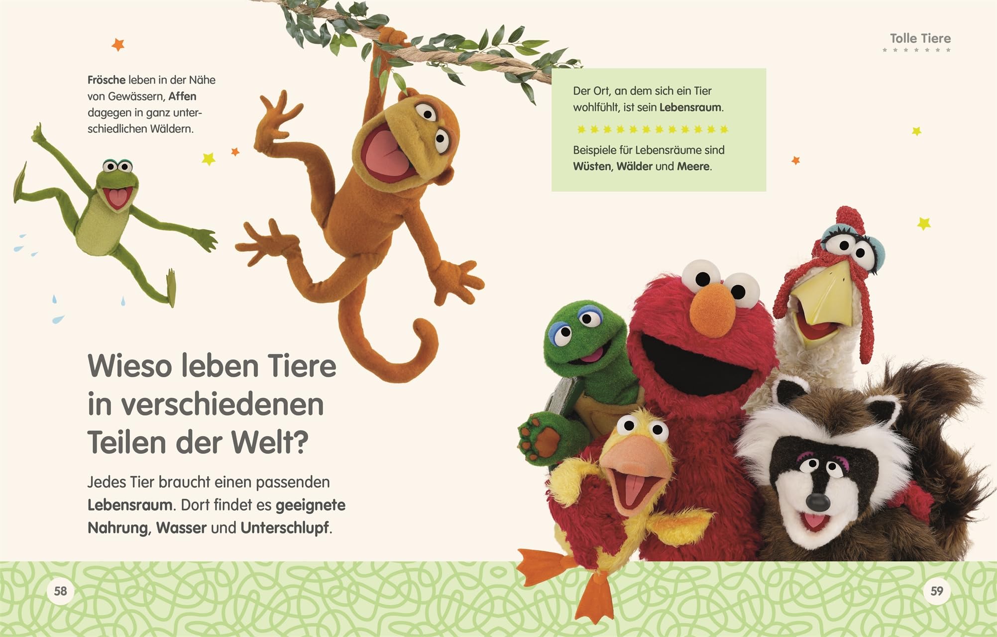 Sesamstraße Elmo fragt warum: Spannende Antworten auf neugierige Kinderfragen. Ein allererstes Kindergarten-Lexikon für neugierige Fans. Für Kinder ab 4 Jahren