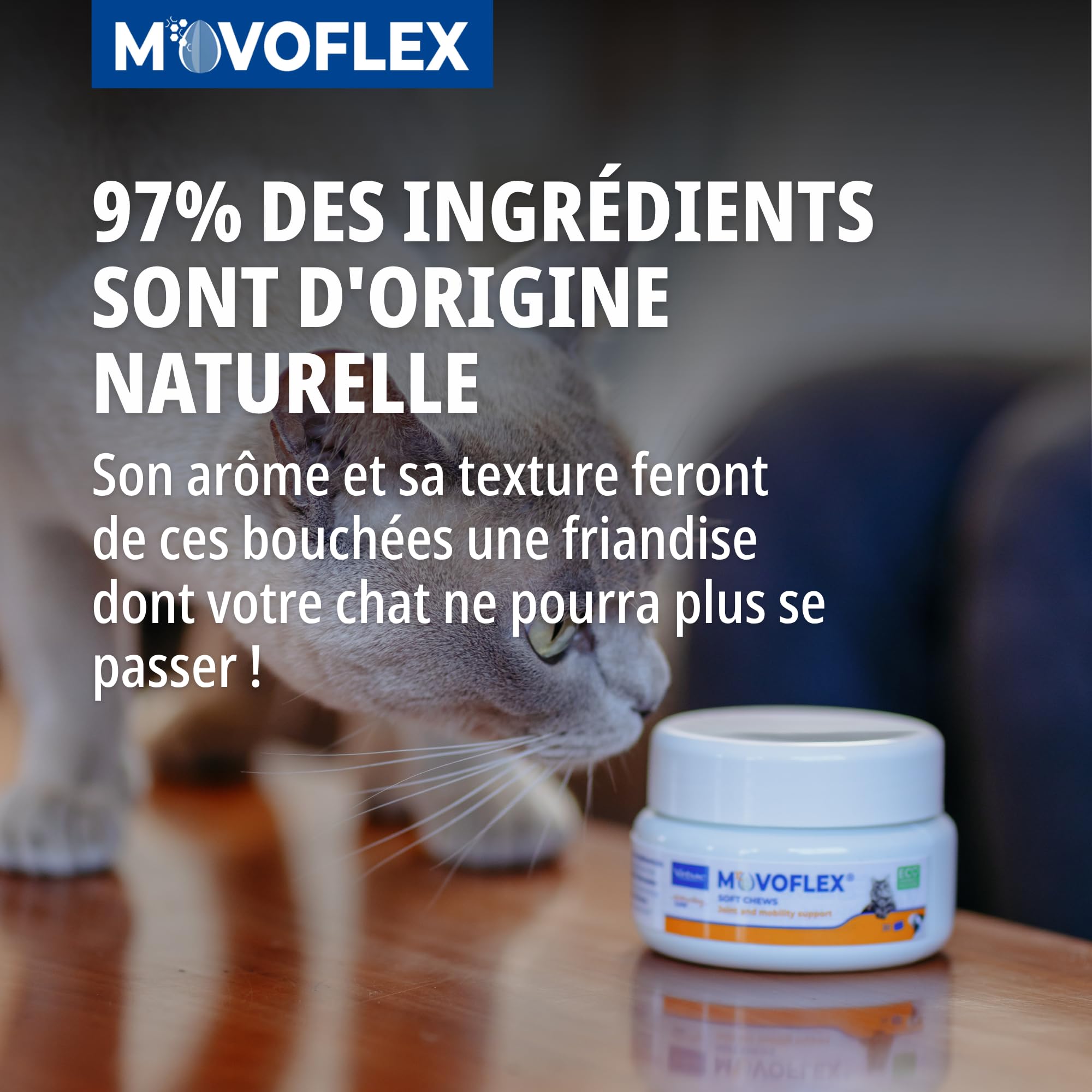 MOVOFLEX Gato 30 Chews