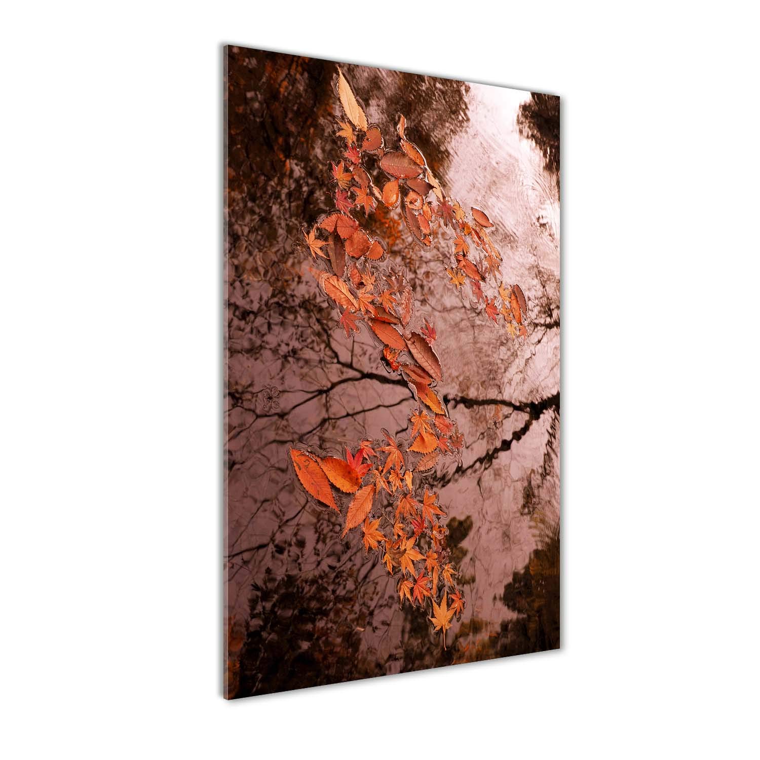 Fleurs et plantes sous Verre Acrylique Tulup Tableau Plexiglas Énergie Automnale 60x120