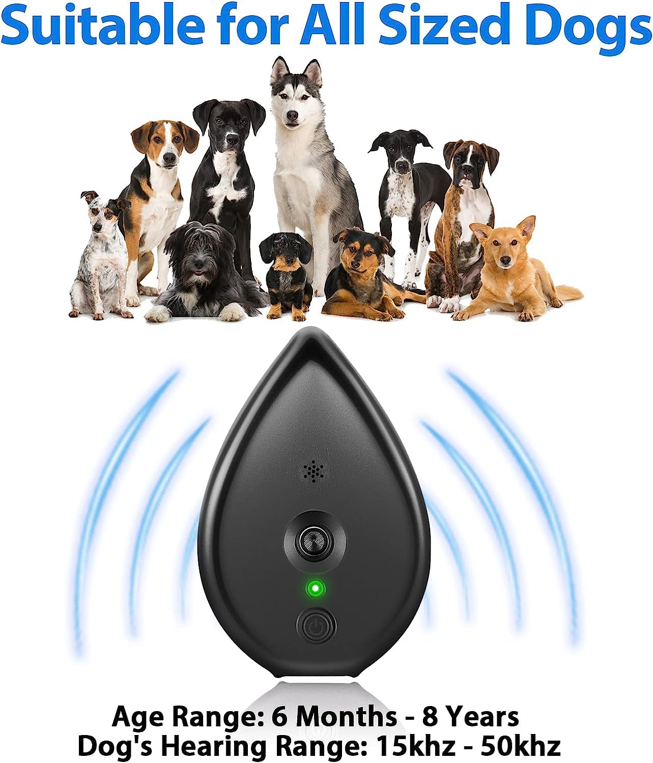 https://m.media-amazon.com/images/I/71+l85wMfaL.jpg