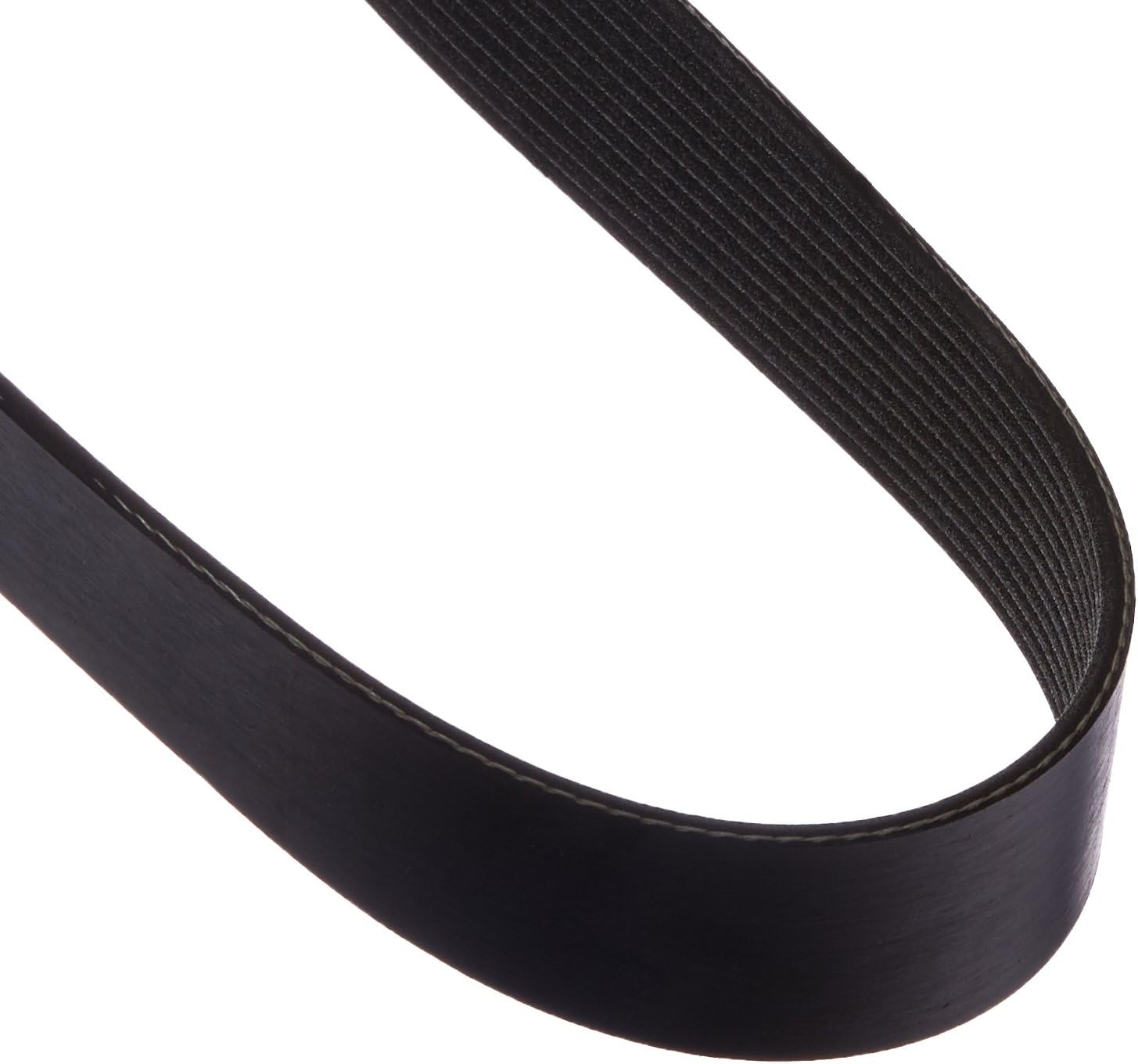 Dayco 5120720 Serpentine Belt