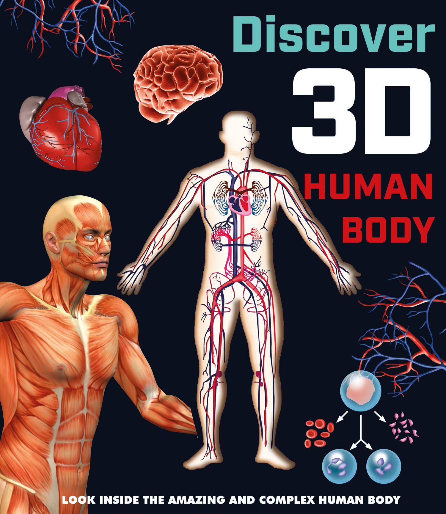 Discover 3D Human Body (Chunky Human Body Book)