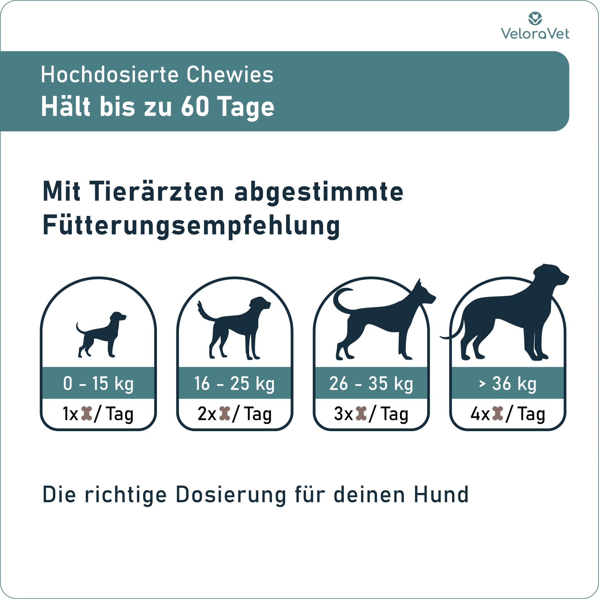 Grünlippmuschel Gelenktabletten Hund – HOCHDOSIERT mit Grünlippmuschelpulver, MSM, Teufelskralle, Glucosamin & Kollagen – Keine Kapseln, hohe Akzeptanz – Gelenk- & Knochenschutz – 60 Stück