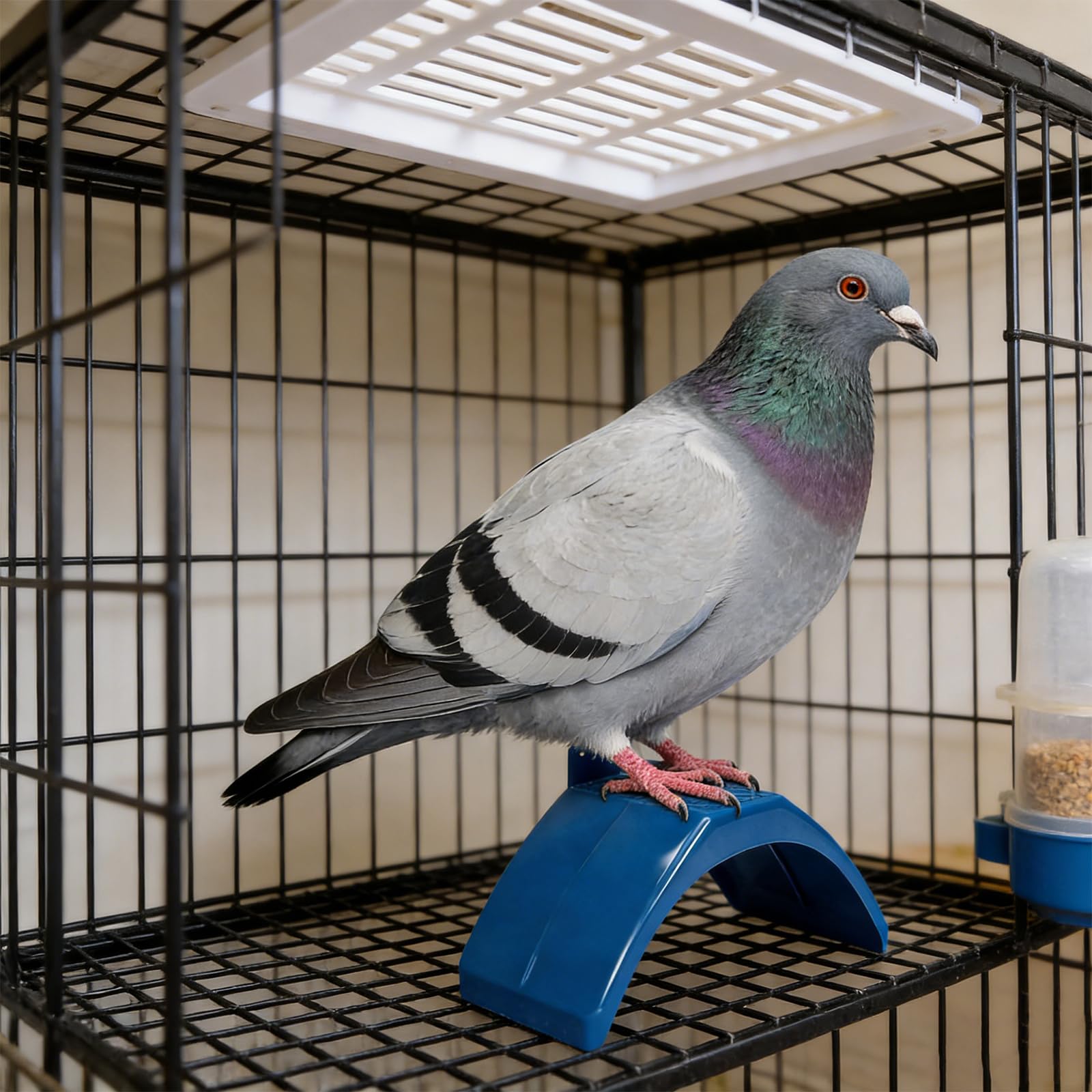 20 supporti in plastica leggera per colombe, posatoi per piccioni, gabbie per uccelli, struttura per abitazione per piccioni, pappagalli e altri uccelli